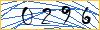 Enter the symbols from the picture
