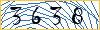 Enter the symbols from the picture