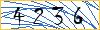 Enter the symbols from the picture
