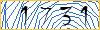 Enter the symbols from the picture