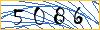 Enter the symbols from the picture