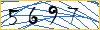 Enter the symbols from the picture